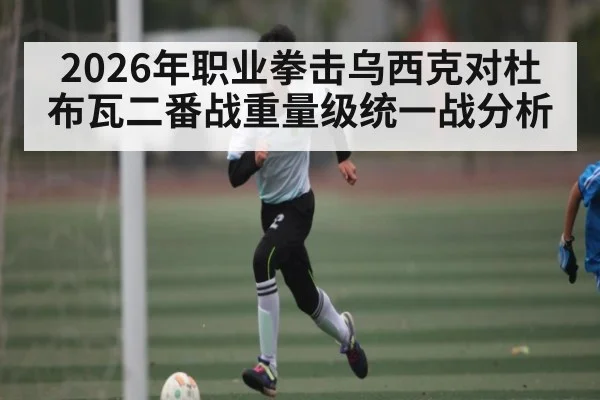 2026年职业拳击乌西克对杜布瓦二番战重量级统一战分析